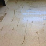 Swifty-Cean-stripped-floor