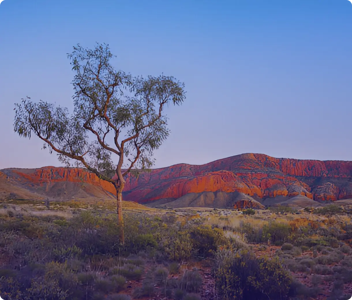 Our Sustainability Procedures